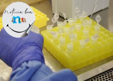 Notícia boa: Bahia recebeu 30 mil novos testes de Coronavírus