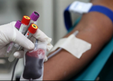 Coluna Pinga Fogo – por Marcelo Araújo