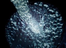 Schin doará água potável da produção de cerveja para o sertão nordestino