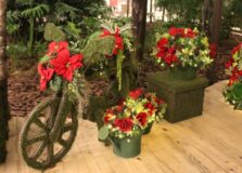 Natal do Shopping Itaigara terá decoração de Cecília Dale e WhatsApp do Papai Noel