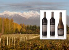 Vinícola Terrazas de los Andes lança a linha Grand