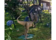 Número de visitantes da Lagoa dos Dinossauros será limitado a 200
