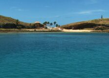 Concurso vai premiar imagens do fundo do mar de Abrolhos