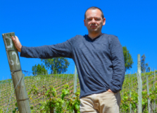 Brasileiro se consolida entre os melhores produtores de vinho no Chile