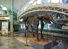 Museu Geológico da Bahia completou 46 anos
