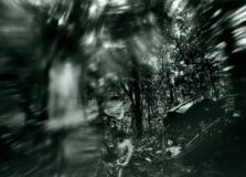 MAM São Paulo e MAC USP vão exibir exposição simultaneamente