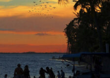 Camaçari anuncia criação da Câmara do Turismo com municípios da Costa dos Coqueiros