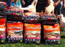 Ivete Sangalo realiza doações para Abrigo Animais Aumigos