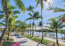 Praia do Forte libera eventos e reabre faixa litorânea