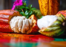 Festival Gastronômico “Sabores de Itacaré” acontecerá em outubro
