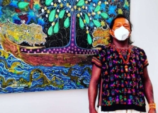 MAM-SP apresenta mostra inédita sobre a história da arte indígena