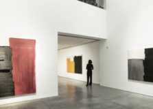 Roberto Alban Galeria recebe obras inéditas de Célia Euvaldo em exposição