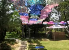 Parque Zen inicia programação com ativistas neste final de semana. Confira!