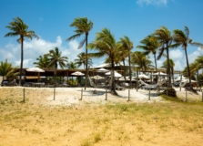 Dia das Crianças: Clube de Praia no Litoral Norte da Bahia tem programação especial para o feriado