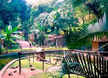 Zoológico de Salvador é reaberto para visitantes