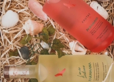 Paramana Gin realiza evento para anunciar seus mais novos sabores