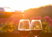 Wine Experience acontecerá em Salvador, no Porto da Barra