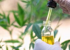 Anvisa aprova novo medicamento à base de Cannabis no Brasil