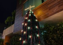 Cafeteria baiana apresenta Árvore de Natal feita a partir de materiais recicláveis