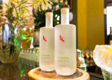 Grupo Paramana celebra mais um ano de sucesso