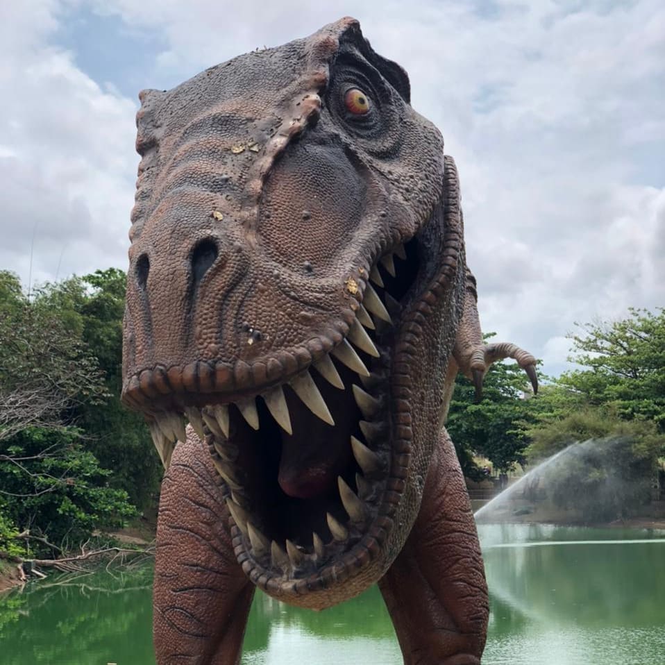 Parque dos Dinossauros. Foto: Reprodução.
