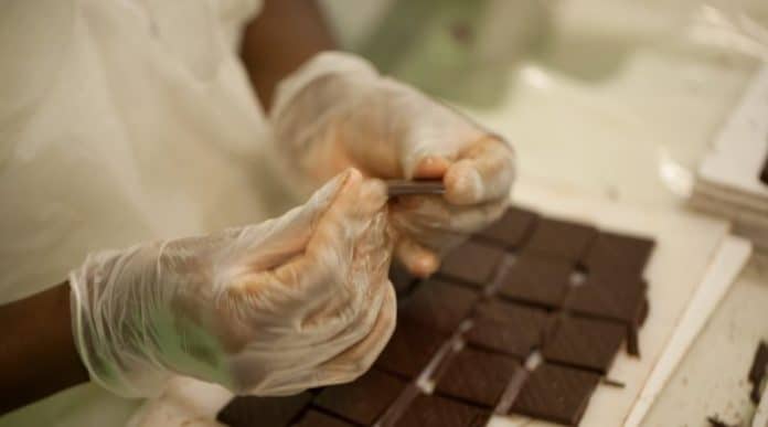 Amma-Chocolate-Organico-Anota-Bahia