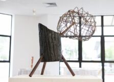 Funceb divulga nova edição dos Salões de Artes Visuais na Chapada Diamantina