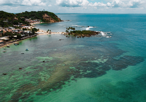 Cairu-Anota-Bahia