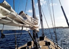 Voz dos Oceanos se aproxima de jornada pela costa dos Estados Unidos