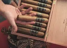 Mondo Tabaco lança charutos JAMM Cigar em Salvador