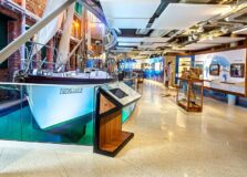 Exposição “Conchas Marinhas da Bahia” abre temporada de Primavera no Museu do Mar