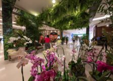 Shoppings Barra, Itaigara e Paseo informam os horários de funcionamento pro dia 12 de outubro. Confira!