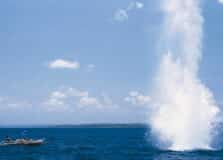 PF realiza operação de combate à pesca com explosivos na Bahia