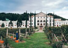 Saiba quais são as vinícolas envolvidas no escândalo de escravidão do RS