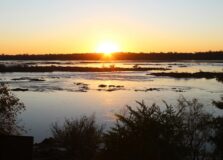 Dia Mundial da Água: recursos hídricos do Cerrado podem diminuir até 2050