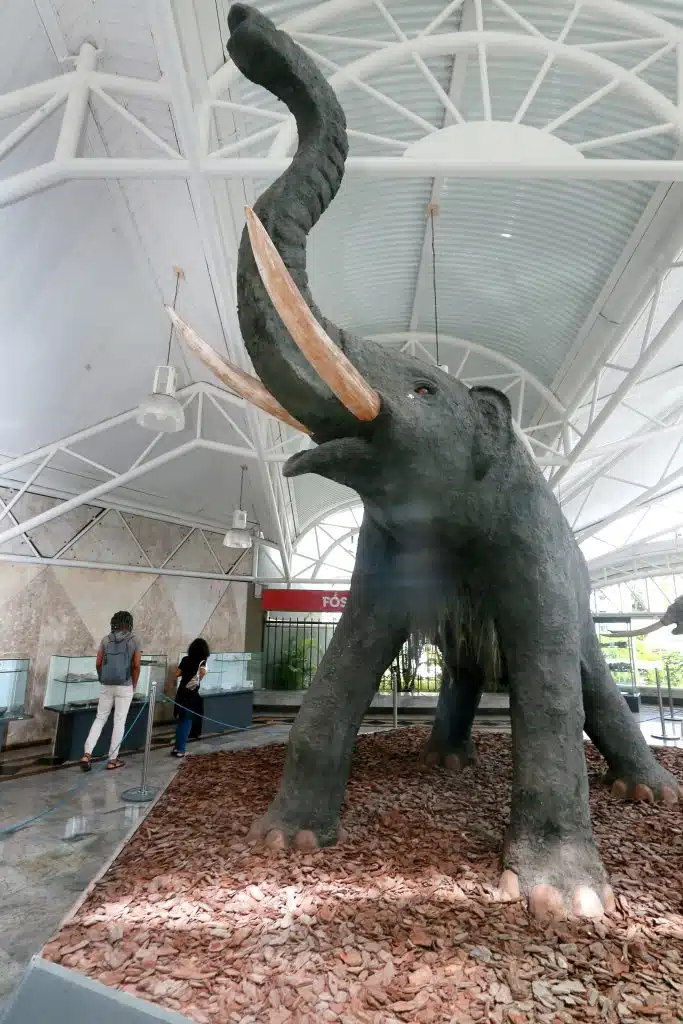 Museu Geológico da Bahia. Foto: Elói Corrêa/GOVBA.