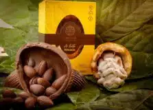 Mendoá Chocolates apresenta linha orgânica para Páscoa