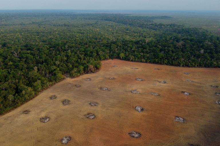 Desmatamento na Amazônia. Foto: Michael Dantas/AFP.