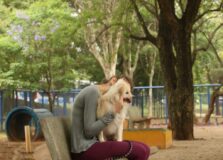 Salvador terá o dobro de espaços para lazer canino até o final de 2023