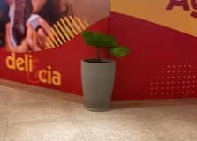 Nova unidade da Deli & Cia Delicatessen será aberta no Shopping Barra