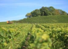 Índice de confiança do empresariado baiano segue abaixo do esperado