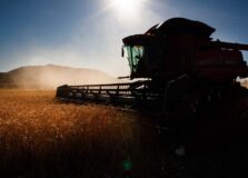 Governo faz ajustes em programas de concessão de crédito rural