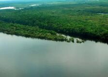 Cúpula, em Belém, será a “voz amazônica”, diz diretor da OTCA