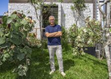 Campanha de paisagista baiano promove conscientização sobre cultivo e preservação das árvores