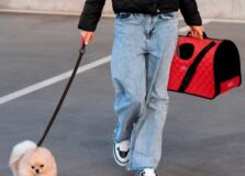 Audi Center Salvador e Petland vão promover experiência com clientes e seus pets em Salvador