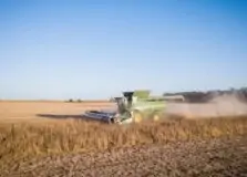 Agronegócio tem participação significativa no PIB da Bahia