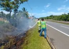 CLN registra casos de queimadas na BA-099