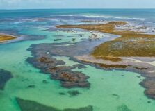 Verão baiano terá nova edição do Tour das Ilhas