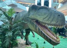 Exposição de dinossauros aterrissa em shopping da capital baiana