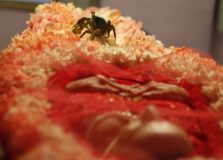 Festival de cinema receberá estreia nacional de filme baiano